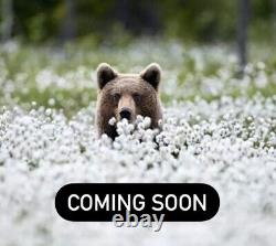 Charlie Bears? More Information Soon