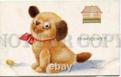 Rare 8 Inches Tall Antique Einco C1915 Googly Eyed Tubby Dog Beautiful Example