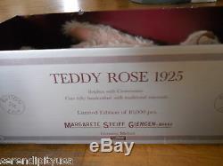 Rare! Steiff Teddy Rose 1925 Limited Edition 10,000 Ean 0171/41 Box, Certificate
