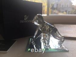 SWAROVSKI SCS Gorilla Cub Limited Edition Crystal Figurine 955440 New In Box COA